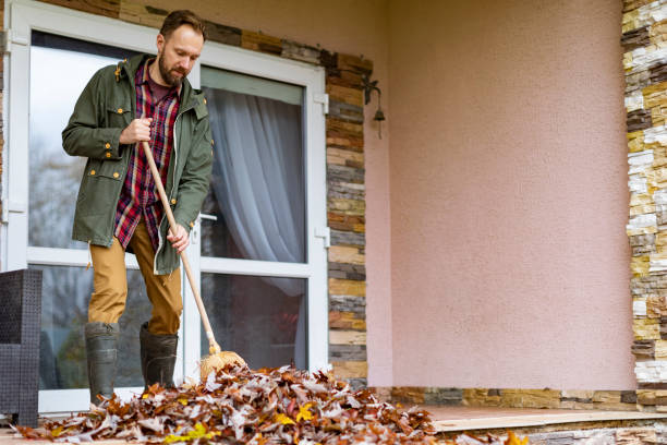 Best Basement Cleanout Services  in USA